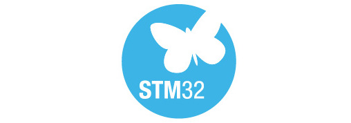 STM32 Logo