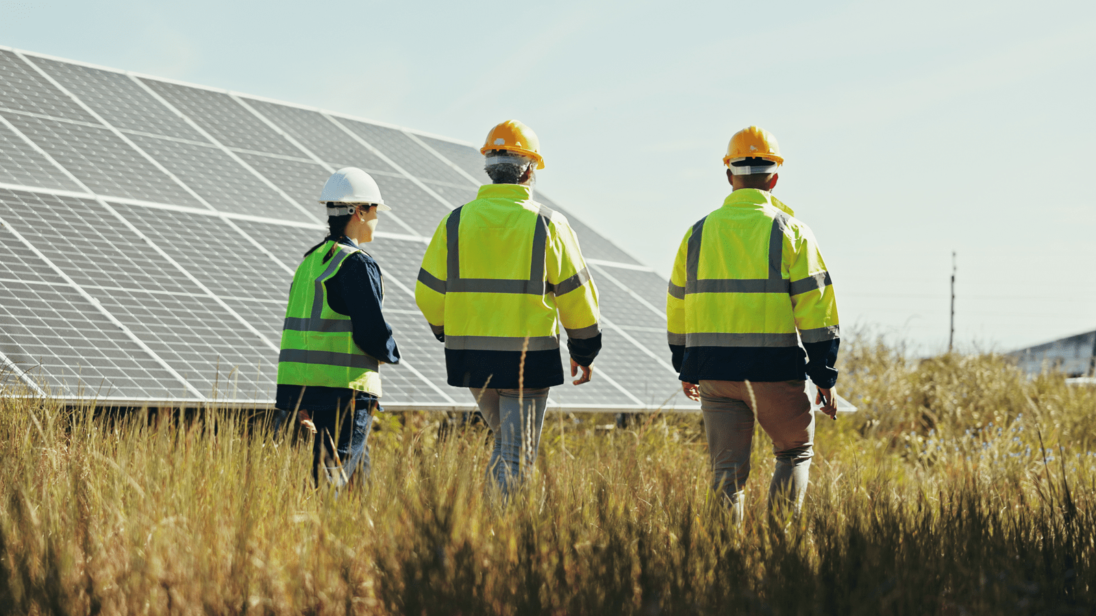 Engineers wearing high-vis jackets walk past solar panels in a field
